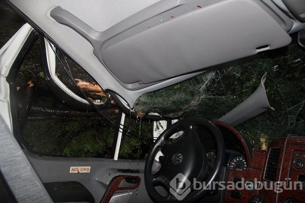 MHP'li adayları taşıyan aracın üzerine ağaç düştü