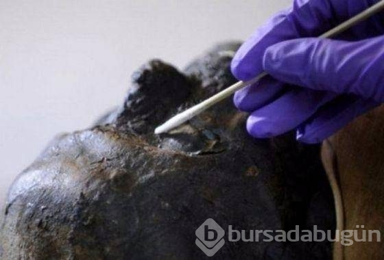 300 yıllık ceset 1 saatte çürüdü