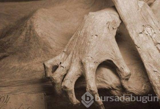 300 yıllık ceset 1 saatte çürüdü