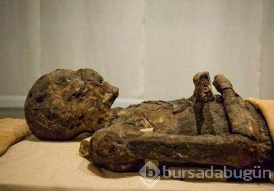 300 yıllık ceset 1 saatte çürüdü