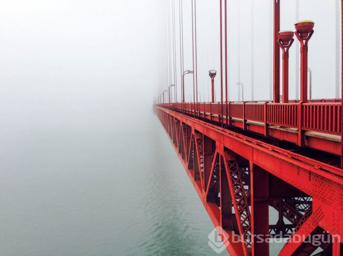 2015 iPhone fotoğraf ödülleri kazananları