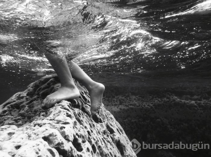 2015 iPhone fotoğraf ödülleri kazananları