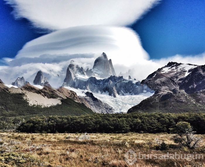 2015 iPhone fotoğraf ödülleri kazananları