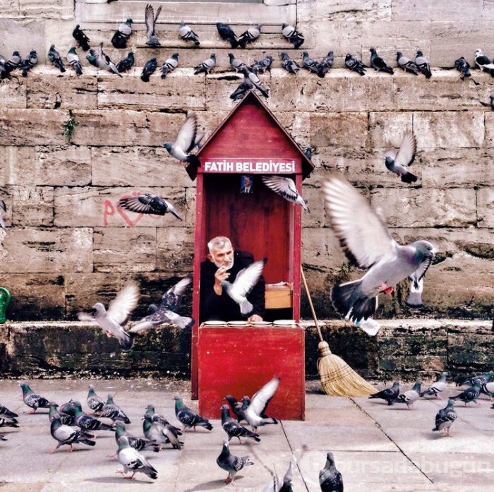 2015 iPhone fotoğraf ödülleri kazananları