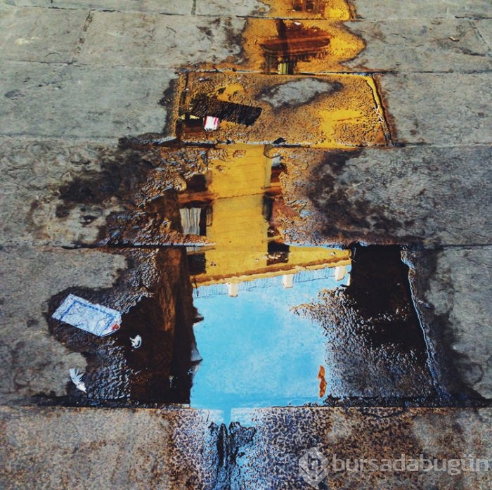 2015 iPhone fotoğraf ödülleri kazananları
