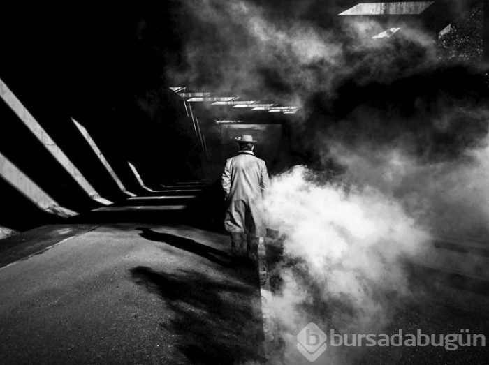 2015 iPhone fotoğraf ödülleri kazananları