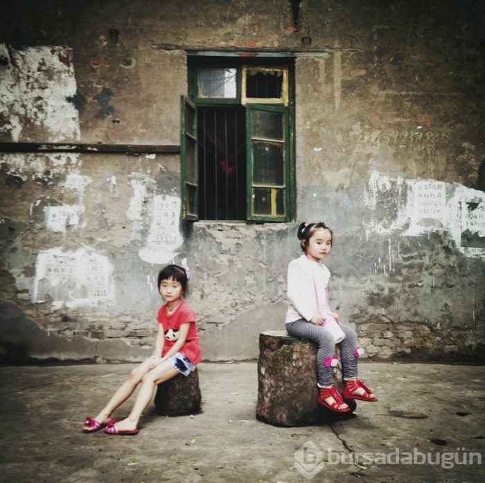 2015 iPhone fotoğraf ödülleri kazananları