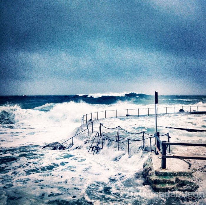 2015 iPhone fotoğraf ödülleri kazananları