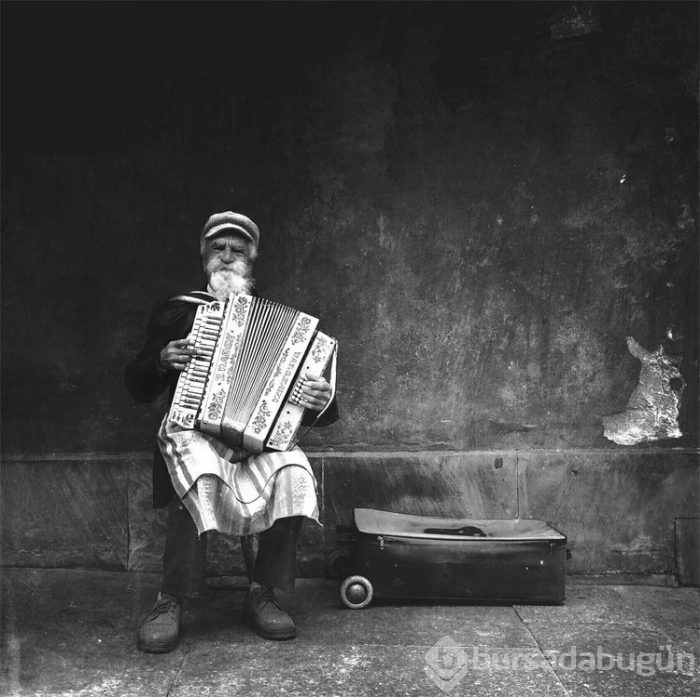 2015 iPhone fotoğraf ödülleri kazananları