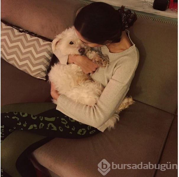 İnstagram'da ünlüler 14 Ekim 2015