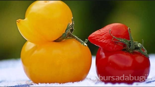 İlginç şekillerde büyüyen sebzeler