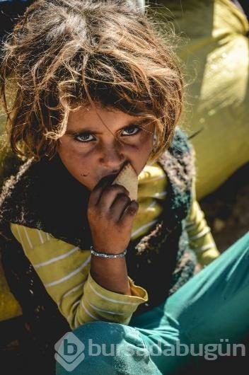 Türkiye'deki Suriyeli mülteci krizinin küçük yüzleri