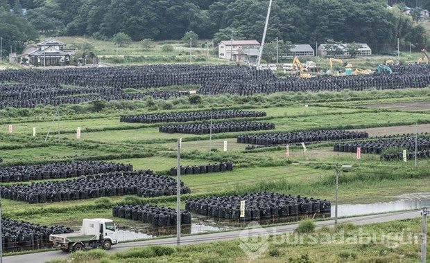 Nükleer felaketin ardından Fukushima