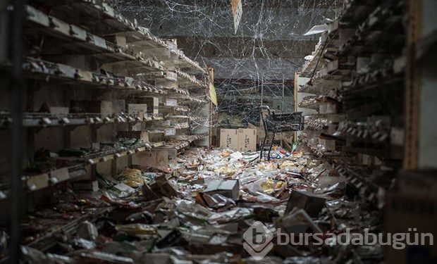 Nükleer felaketin ardından Fukushima