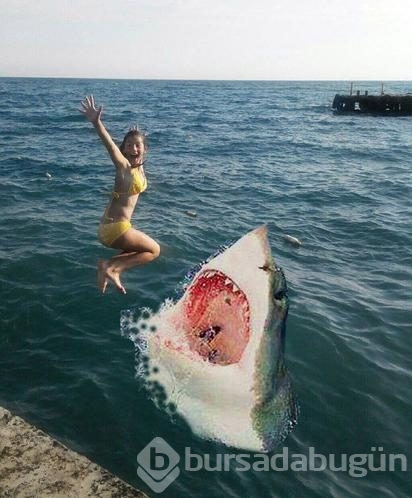 Photoshop arızaları
