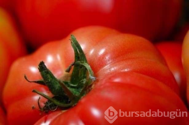 Hayatımızı kolaylaştıran pratik bilgiler