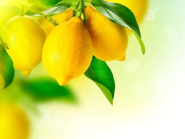 Limonun 13 süper faydası!