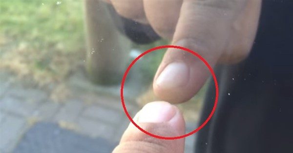 Bunları biliyor musunuz?