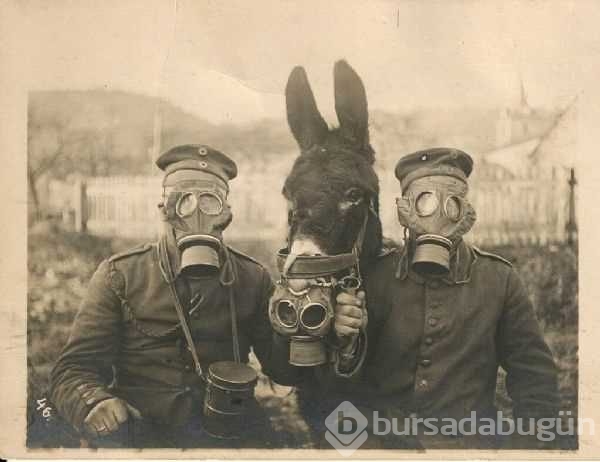 Tarihi fotoğraflar gün yüzüne çıktı