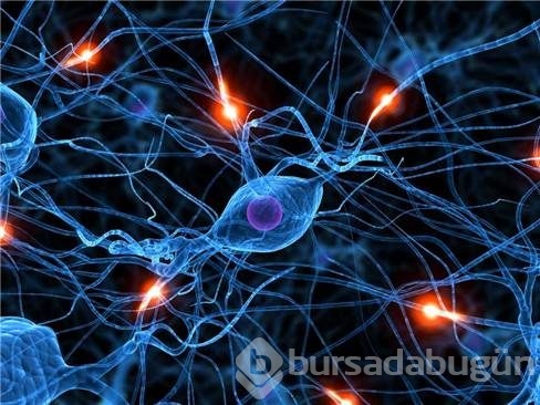 Parkinson hastalığı belirtileri ve tedavisi