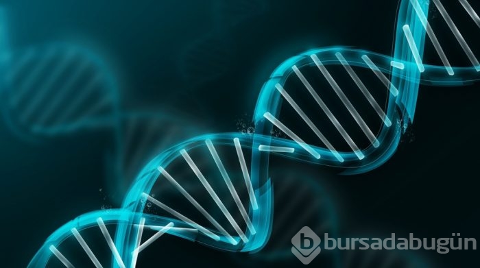 Parkinson hastalığı belirtileri ve tedavisi