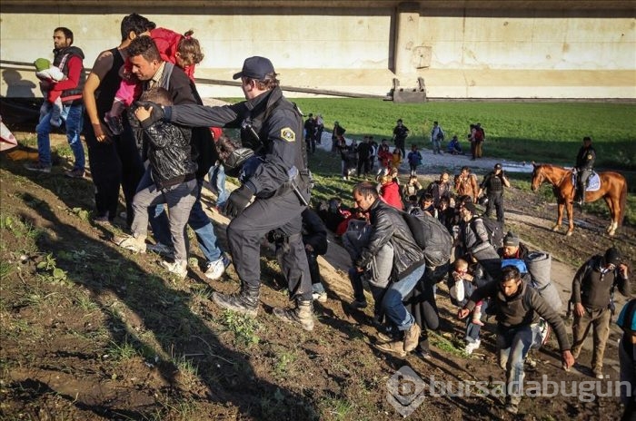 Avrupa'daki sığınmacı krizi