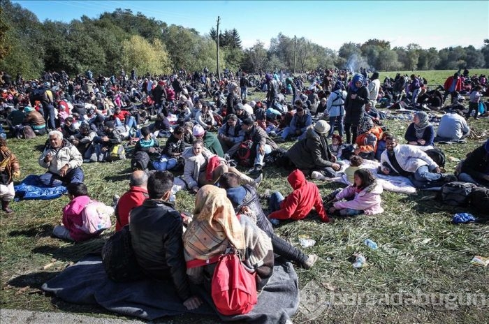 Avrupa'daki sığınmacı krizi