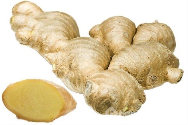 Aşk meyveleri