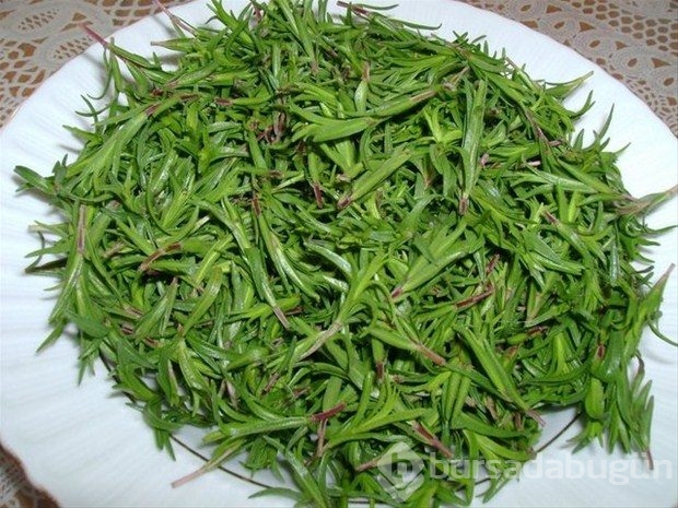 Aşk meyveleri