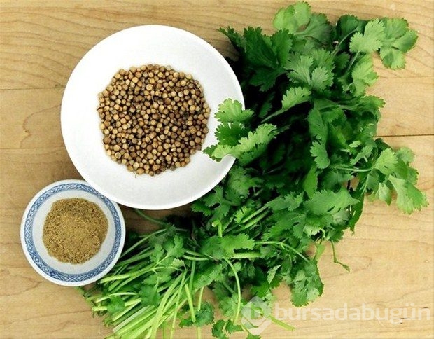Aşk meyveleri