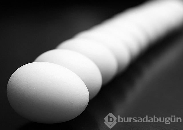 Yumurta alerjisi nasıl anlaşılır?