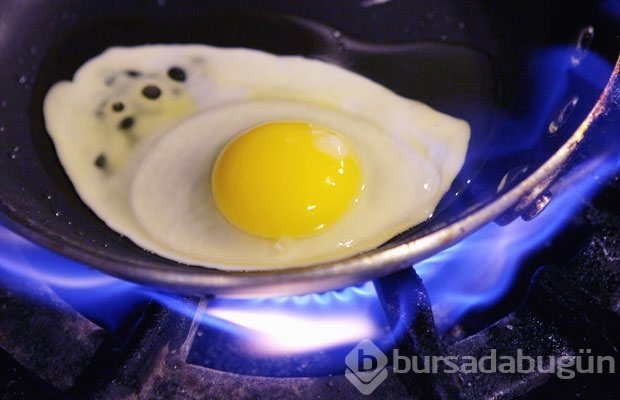 Yumurta alerjisi nasıl anlaşılır?