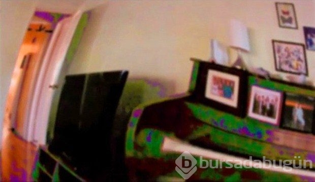 Hayvanlar nasıl görür?