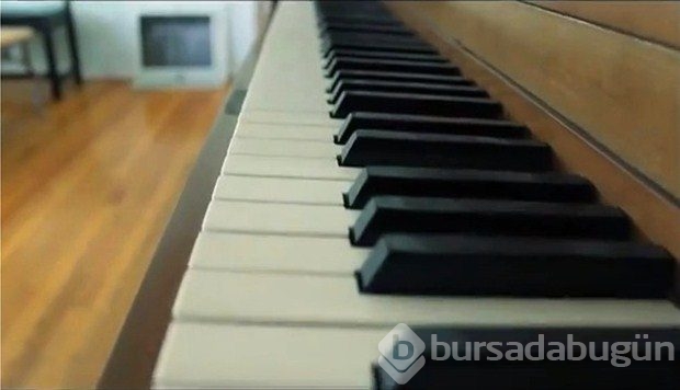 Hayvanlar nasıl görür?