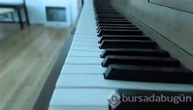 Hayvanlar nasıl görür?