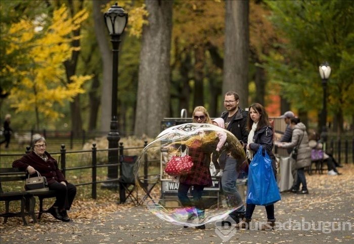 New York'ta sonbahar