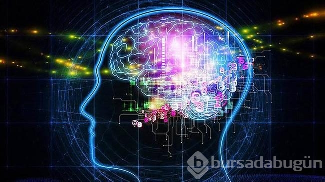 İnsan beyni hakkında bilmediğiniz 42 gerçek 