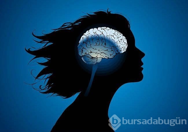 İnsan beyni hakkında bilmediğiniz 42 gerçek 