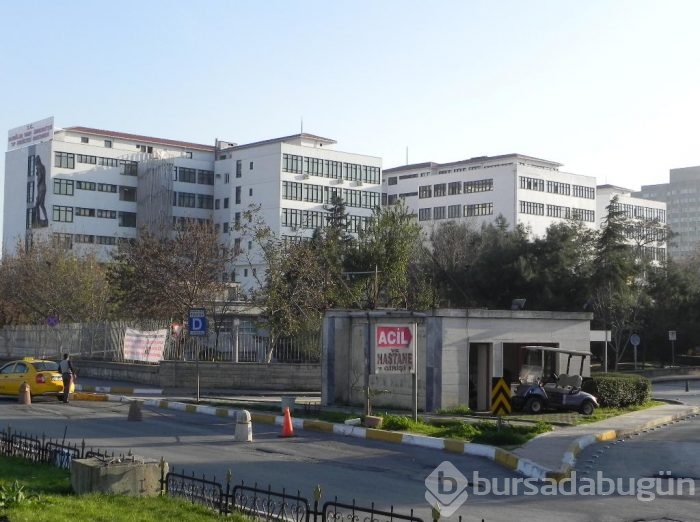 İstanbul'da Beslenme ve Diyetetik bölümü ücretleri ne kadar?