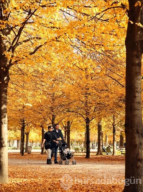 Paris'te sonbahar
