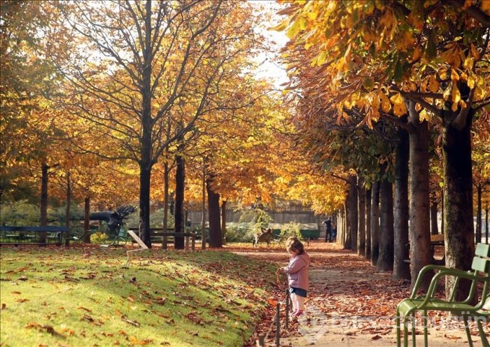 Paris'te sonbahar
