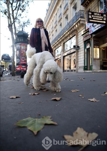 Paris'te sonbahar