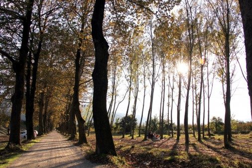 Bursa'dan sonbahar manzaraları 