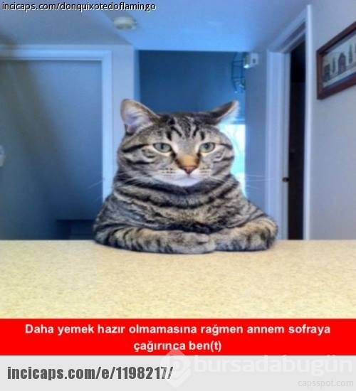 Gülme garantili &acute;caps&acute;ler
