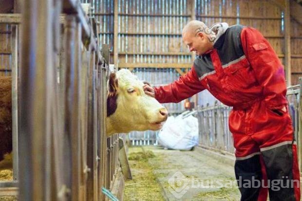 Böyle bir ada daha önce görmediniz