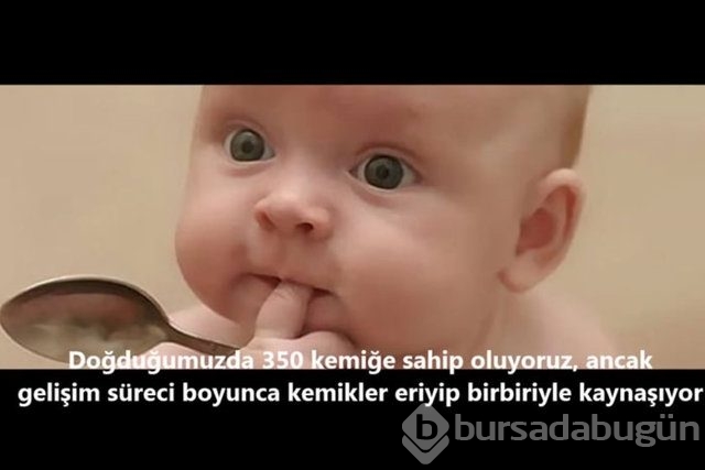 İnsan vücudunda şaşırtıcı 16 özellik!