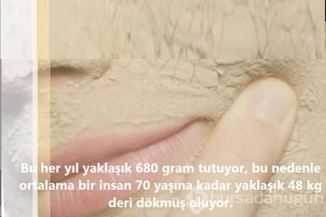 İnsan vücudunda şaşırtıcı 16 özellik!