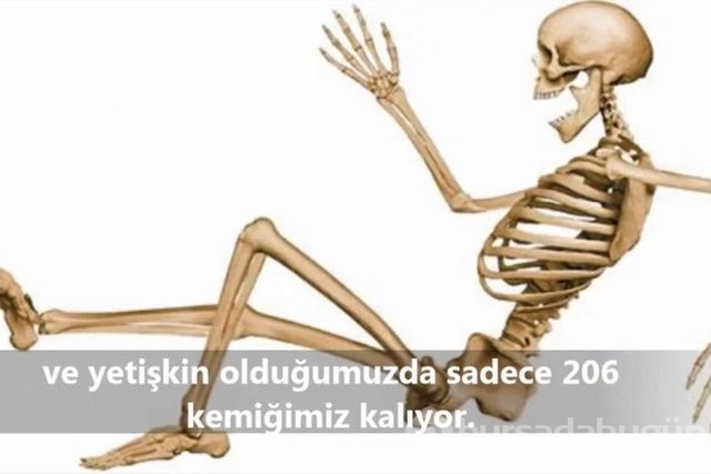 İnsan vücudunda şaşırtıcı 16 özellik!