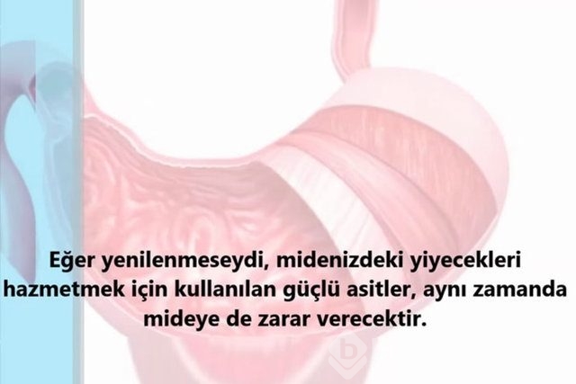 İnsan vücudunda şaşırtıcı 16 özellik!