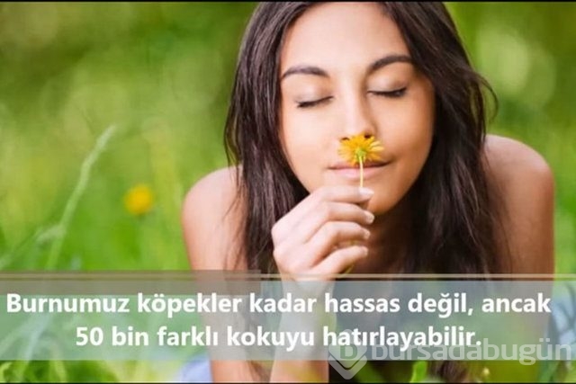 İnsan vücudunda şaşırtıcı 16 özellik!